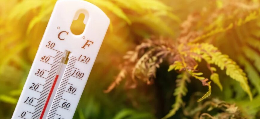 Спека наступає: якою буде погода найближчими днями та де очікувати злив