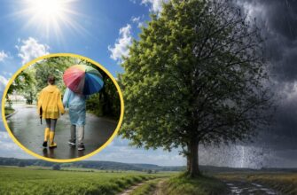 Похолодання до +7, град та дощі: коли в Україні кардинально зміниться погода