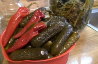 Забутий рецепт хрустких огірків на зиму без оцту бочковим способом