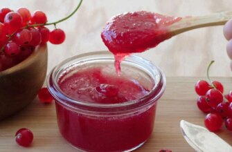 Секрети заготівлі: 10 найкращих рецептів желе з червоної смородини