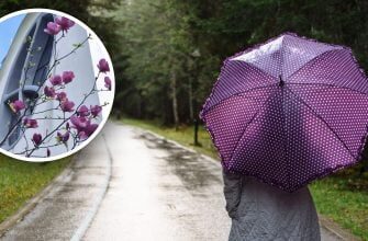 Різкий контраст: Європа палає, а Україна мерзне — деталі прогнозу
