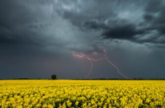 Спека до +34°C чи раптовий град: синоптики попередили про різку зміну погоди