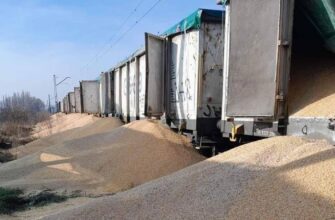 Удар по «Кернелу»: втрачено 45 тис. тонн пшениці та 9 тис. тонн олії