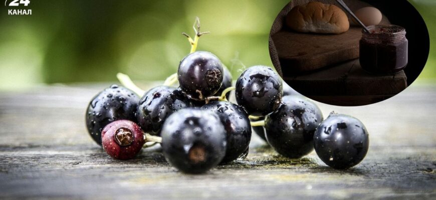 Сезон смородини минає: три рецепти варення, які варто спробувати вже зараз