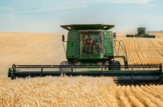Експорт українського зерна паралізовано: аграрії стикаються з критичним падінням цін та логістичним колапсом