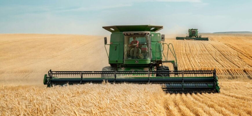 Експорт українського зерна паралізовано: аграрії стикаються з критичним падінням цін та логістичним колапсом