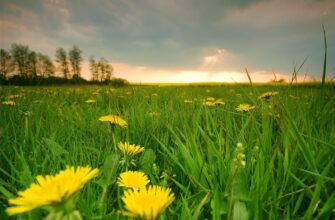 Погода 9 липня: синоптики обіцяють несподіванку