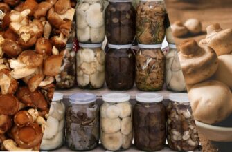 Забудьте про одноманітність: три рецепти маринованих грибів, які вас здивують