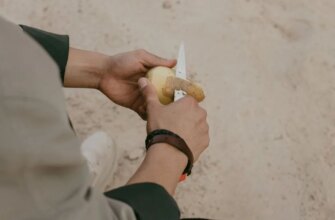 Замість дорогих спреїв: як простий кухонний відхід робить вікна ідеально чистими