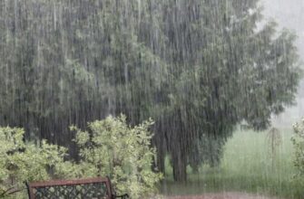 Пекельна спека відступає: коли чекати на рятівні дощі та прохолоду