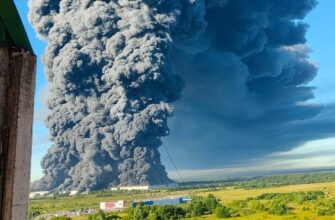 З’явилися докази: спалений у РФ Wildberries постачав товарів для армії окупантів