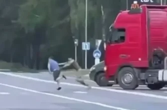 Працівник ТЦК висів на дверях фури, водій таранив авто: на Волині далекобійник намагався втекти від мобілізації
