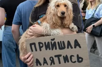 «Прийшла лаятися»: на мітинги проти відставки Федорова вийшли навіть діти та домашні улюбленці