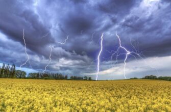 Спека до +31 та раптові грози: синоптики шокували прогнозом погоди на вихідні