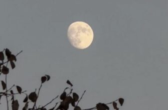 Тиждень випробувань і перемог: кому місячний календар обіцяє успіх, а кому — небезпеку