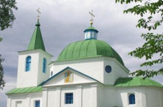 Сьогодні чорниця має особливу силу: що варто з’їсти 9 липня