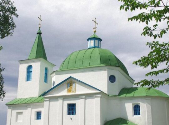 Сьогодні чорниця має особливу силу: що варто з’їсти 9 липня