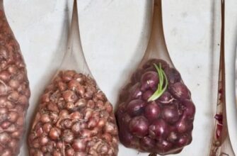 Мудрість бабусь, яку ми забули: 8 побутових хитрощів, що працюють краще за сучасну хімію