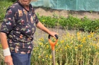 70-річна блогерка зі Львівщини розповіла, чому часник виростає дрібним і як цього уникнути