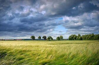 Спека капітулює: Україну накриє небезпечний удар стихії