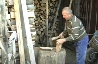Земля ваша, але не дерева: чи можна безкарно рубати дрова на власному паї