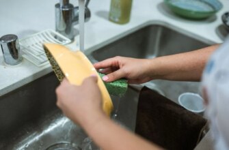 Одна ніч і ваша кухня перетвориться на інкубатор: чому не можна залишати брудний посуд