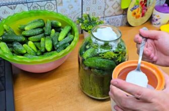 Секрет ідеальних квашених огірків: татів рецепт, який підкорив мільйони