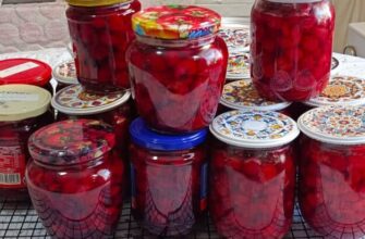 Навіть 100 банок мало: як приготувати вишню, від якої всі будуть у захваті