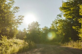 Як довго в Україні ще триматимуться комфортні літні градуси: прогноз синоптиків