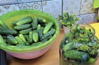 Хрустять як бочкові: старовинний рецепт, який врятує ваші огірки цього літа