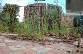 Нова тактика окупантів: як працюють російські дрони-«ждуни»