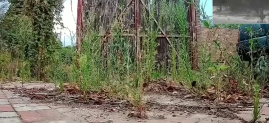 Нова тактика окупантів: як працюють російські дрони-«ждуни»