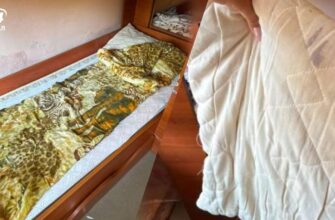 Які жахливі умови виявили у дитячому таборі на Закарпатті під час перевірки