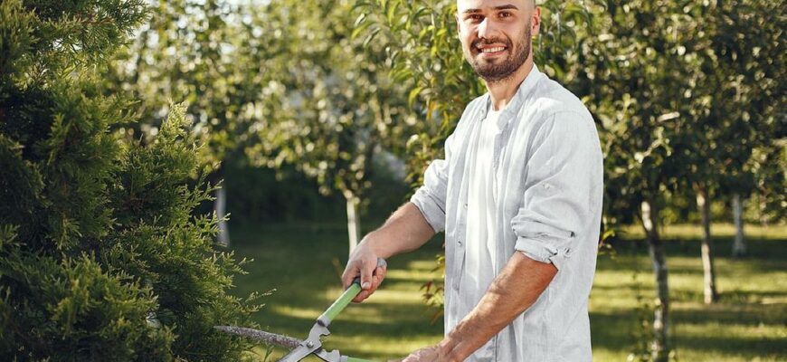 Садівники розповіли, які саме дерева та кущі потрібно обрізати у серпні