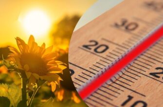 До +32°C без опадів: якою буде погода в Україні 16 серпня