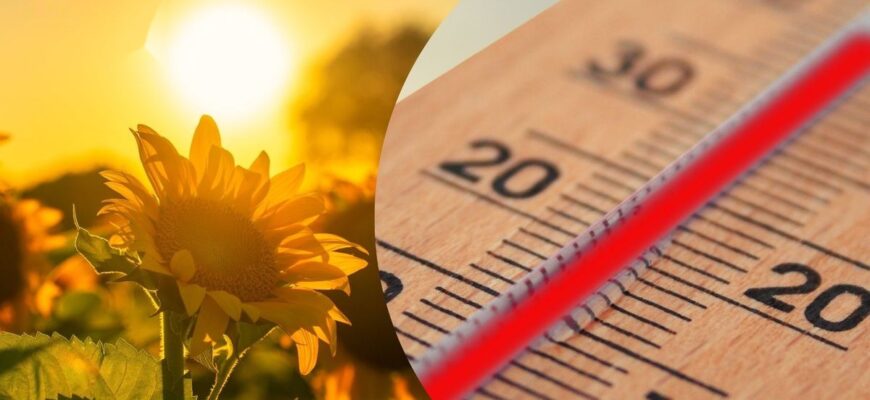 До +32°C без опадів: якою буде погода в Україні 16 серпня
