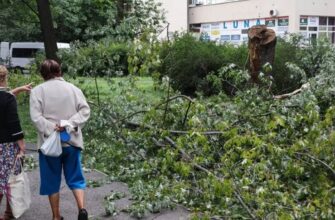 Жертви в Балтії та блекаут у Білорусі: потужний циклон пройшовся одразу 4 країнами Європи