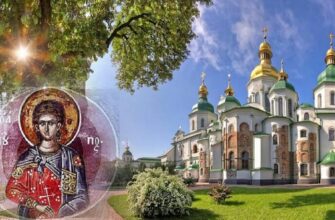 Луп Брусничник: що не можна робити 23 серпня та які прикмети вказують на осінь