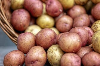 Чи потрібно чистити молоду картоплю перед приготуванням
