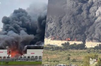Економіст Олег Пендзин оцінив масштаби збитків Wildberries від ударів по складах