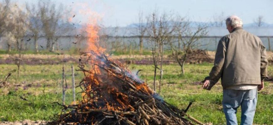 Спалювання гілок та листя на подвір’ї: що дозволяє закон і які штрафи загрожують порушникам Спалювання гілок та листя на подвір’ї: що дозволяє закон і які штрафи загрожують порушникам