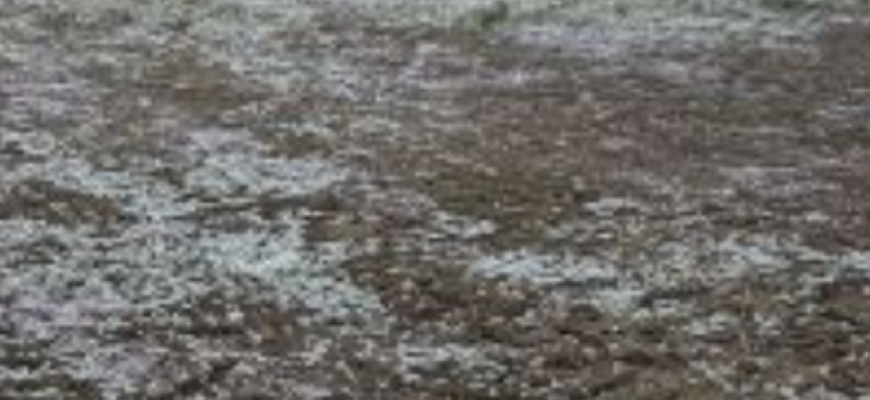 В Україну повертаються заморозки та нашестя негоди: синоптики попередили про небезпечний удар стихії В Україну повертаються заморозки та нашестя негоди: синоптики попередили про небезпечний удар стихії