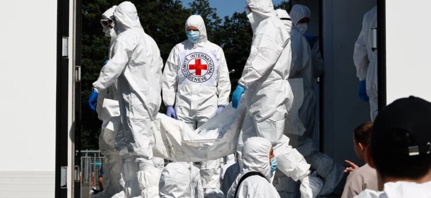До України повернули тіла 261 загиблого захисника, що ви зможете дізнатися з офіційної інформації