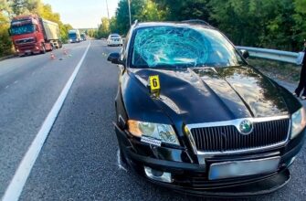 Раптовий виїзд на трасу: на Дубенщині 9-річний велосипедист опинився під колесами авто