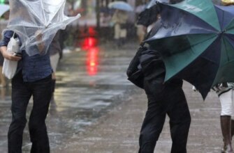 Яку погоду принесе в Україну та Європу аномальне поєднання двох океанічних явищ