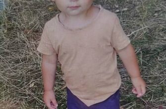 На Житомирщині розшукують півторарічного хлопчика