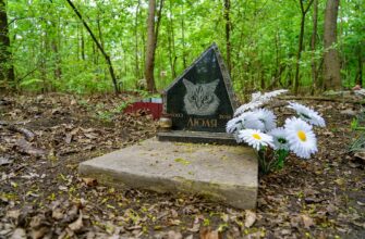 Чи можна ставити хрест на могилі улюбленця: неочікувана позиція Церкви щодо прощання з тваринами