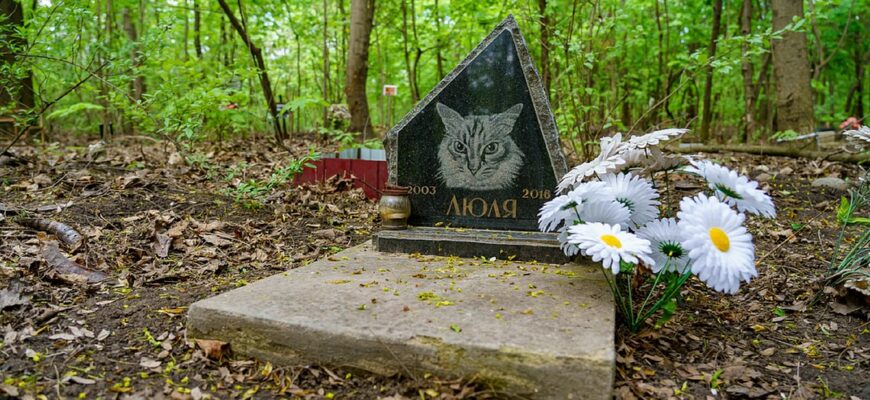 Чи можна ставити хрест на могилі улюбленця: неочікувана позиція Церкви щодо прощання з тваринами