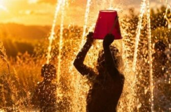 Синоптики дали прогноз температури на кінець серпня та початок вересня