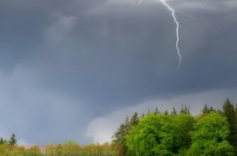 Атмосферний фронт послабить спеку 19 серпня: на які області чекати дощі, а де буде найспекотніше
